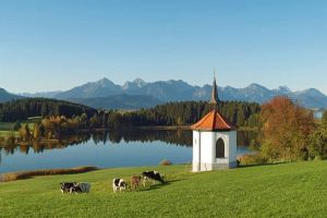 Tandemtreffen Allgaeu4